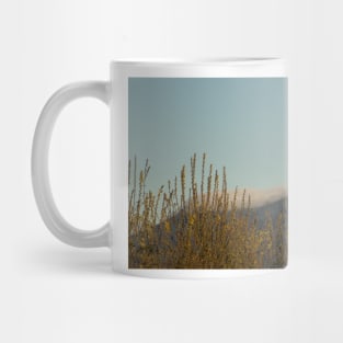 91416 high winds Mug